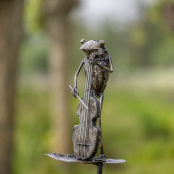 Kikker blad cello